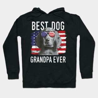 American Flag Best Dog Grandpa Ever Redbone Coonhounds USA Hoodie